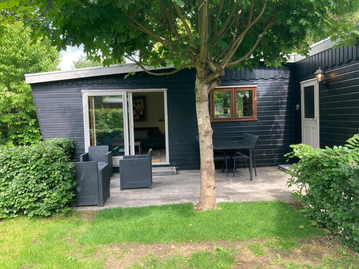 Chalet Wild Forest, Knus Chalet Op De Veluwe Met Gratis Parkeren Putten Luaran gambar